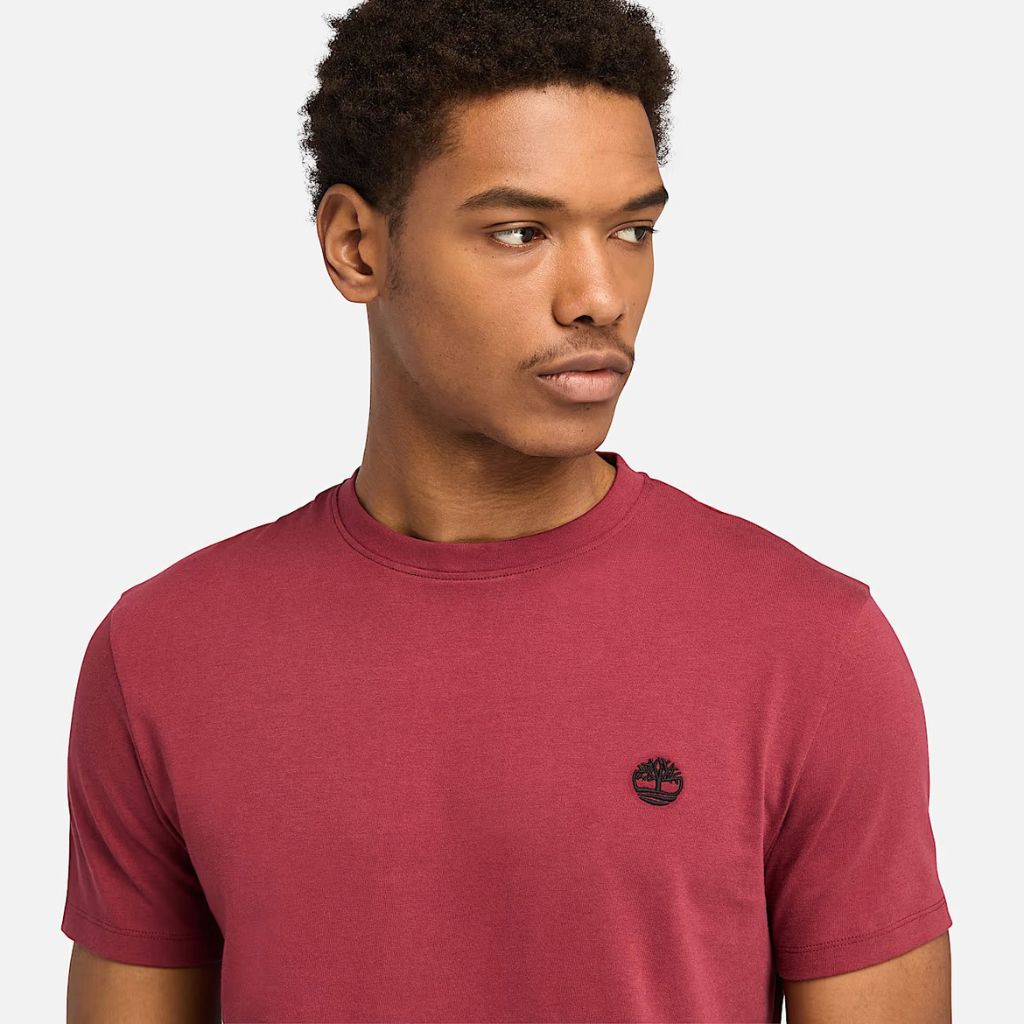 Timberland T-shirt Dustan River Bordeaux TB0A2BPR600