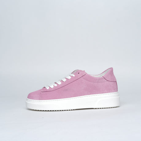17 Seventeen Palermo Rosa