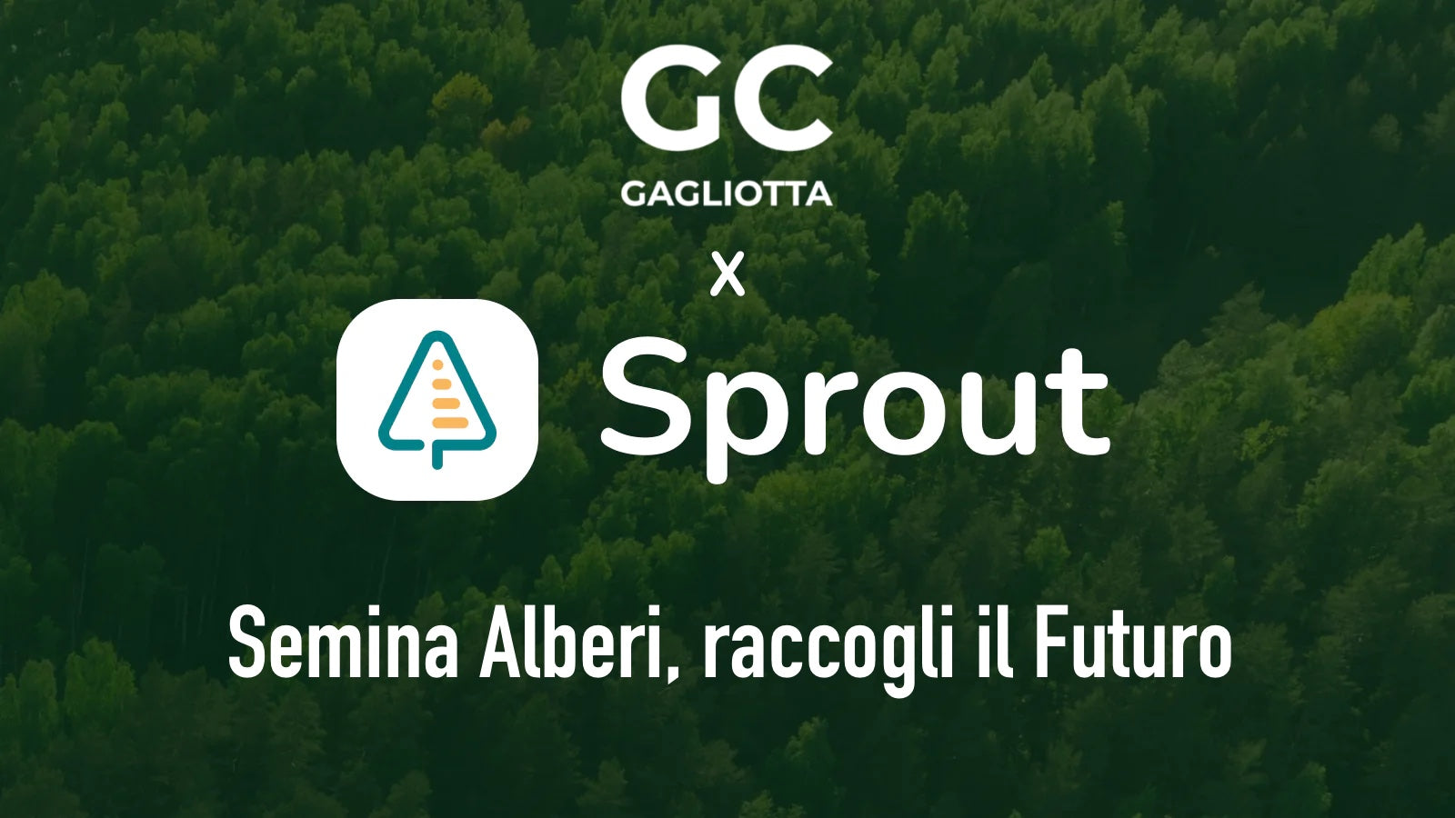 Moda e Sostenibilità: Come Ogni Acquisto Fa la Differenza