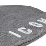 ICON Cappello Invernale Grigio ICXF2W6A045