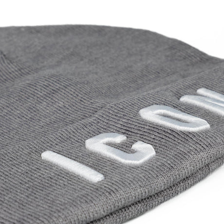 ICON Cappello Invernale Grigio ICXF2W6A045