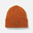 Timberland Cappello Logo Ricamato Giallo TB0A2PJR-231